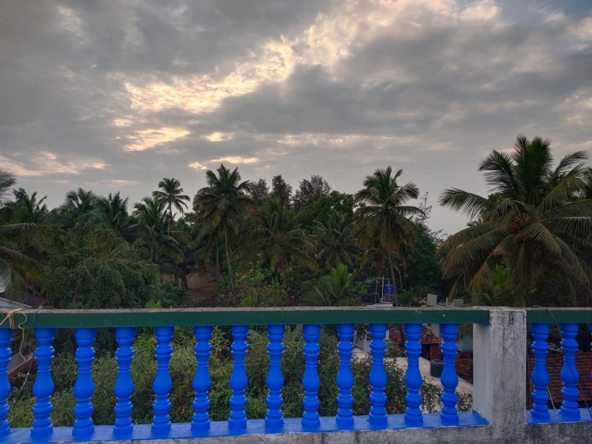 Mandrem Retreat Beach Resort オールド･ゴア エクステリア 写真